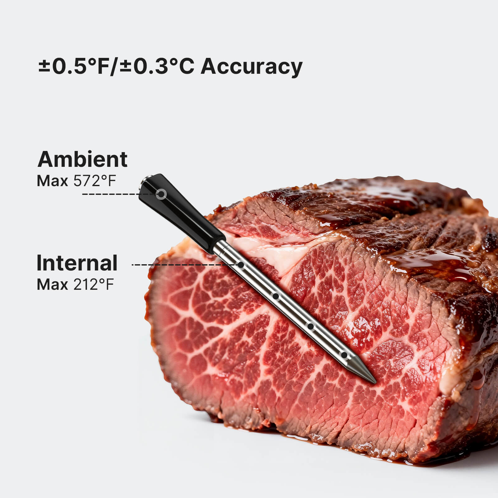 INT-12E-BW Probe Measuring Internal Ambient Temps