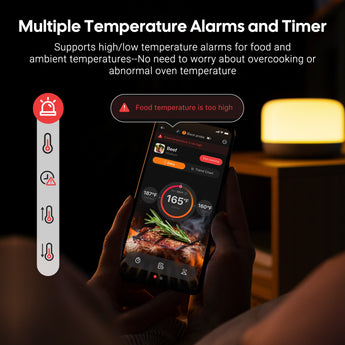 INT-12E-BW Temp Alarms and Timer