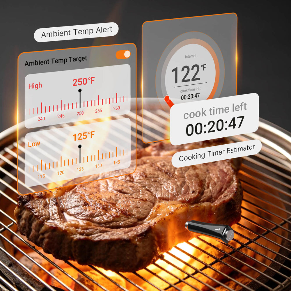 Meat Thermometer Pro INT-14S-BW – INKBIRD