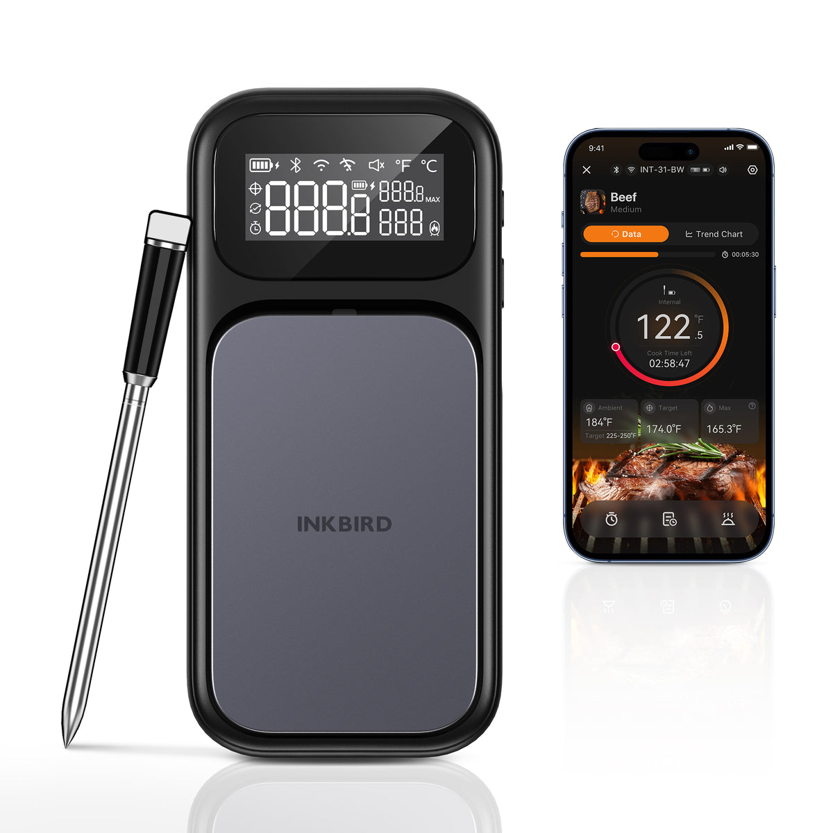 NIST-Certified WiFi & Bluetooth Meat Thermometer INT-31-BW