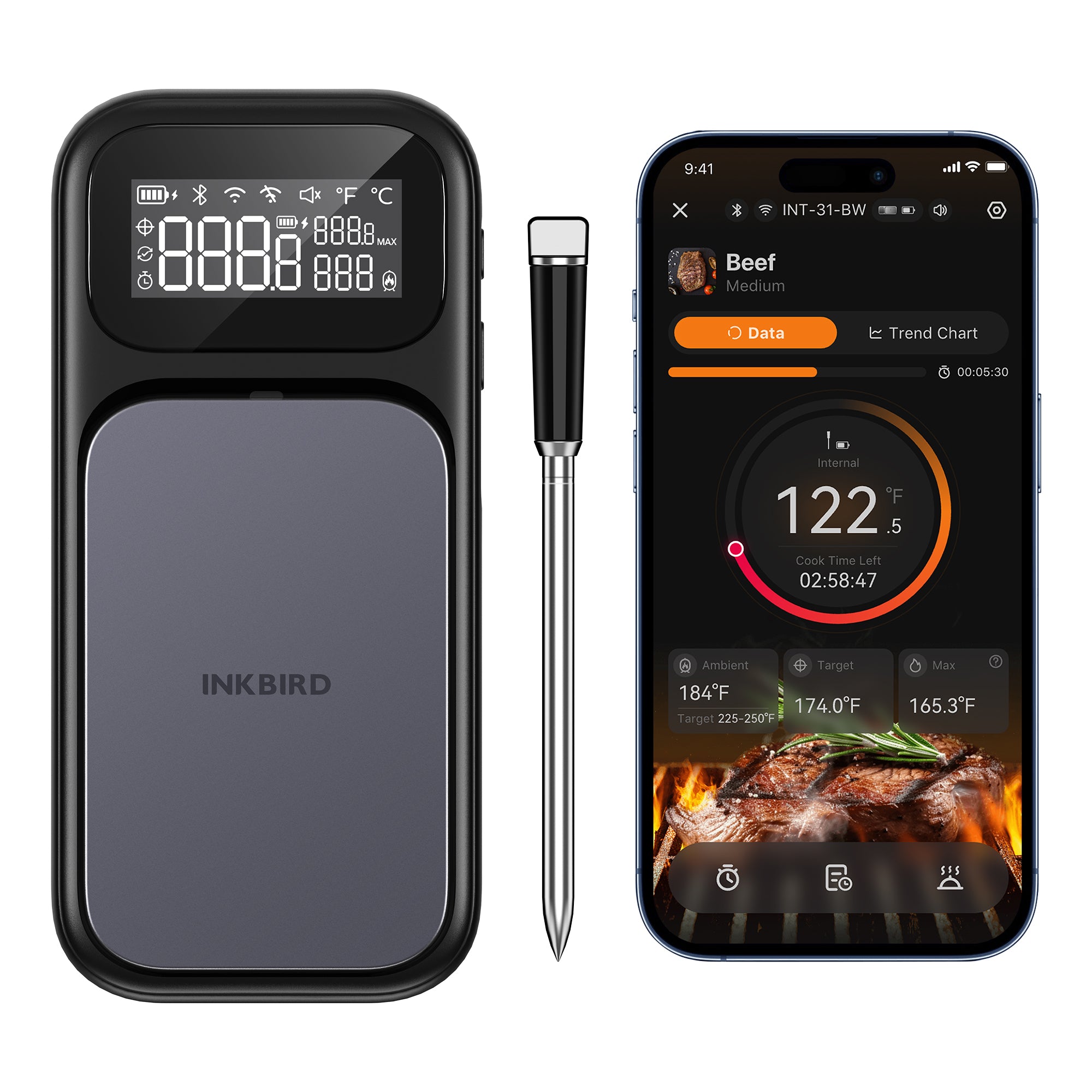 INT-31-BW Wireless Meat Thermometer with Phone