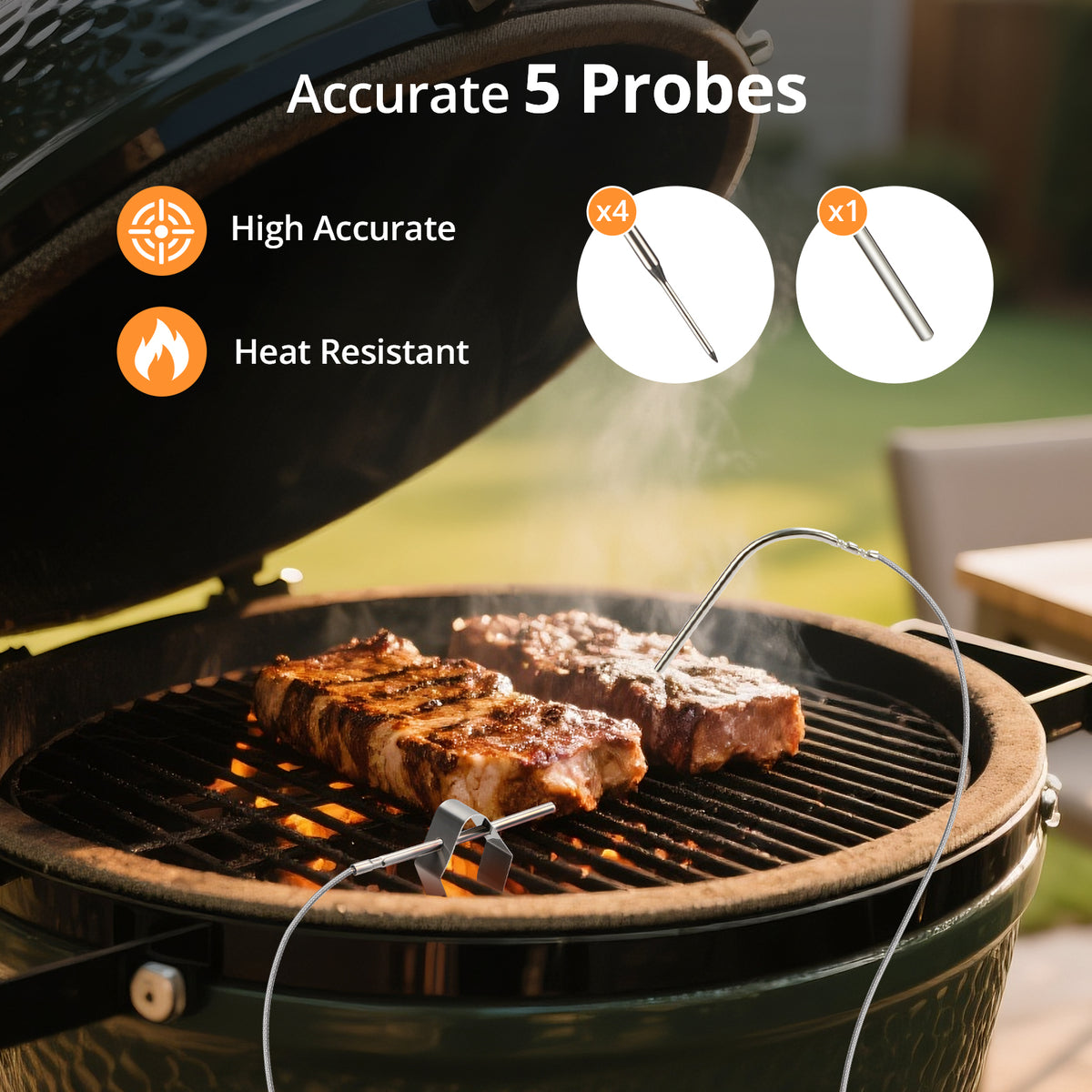 Wifi & Bluetooth Smoker Controller ISC-028-BW – INKBIRD