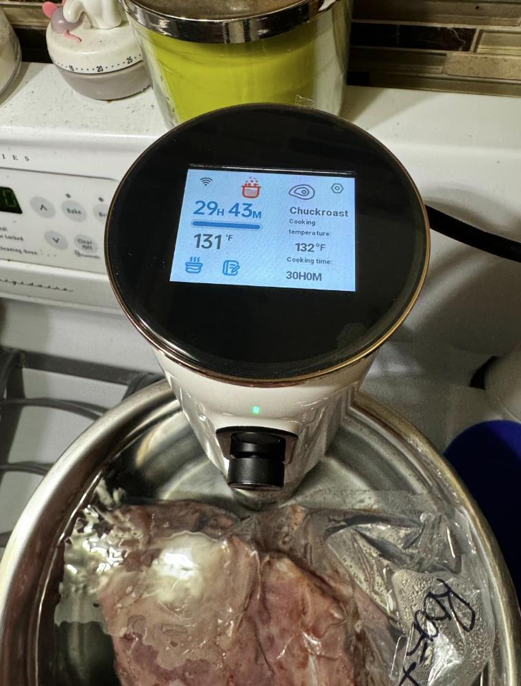 ISV-101W Sous Vide Steak