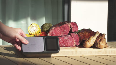 Multi-Sensor Meat Thermometer INT-33-BW