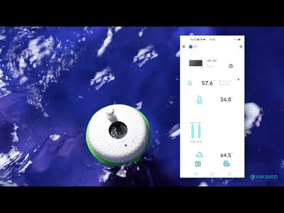 Ensemble de thermomètre de piscine sans fil IBS-P02R avec passerelle WIFI IBS-M2