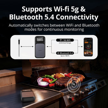 WiFi and Bluetooth Wireless Connection INT-31-BW