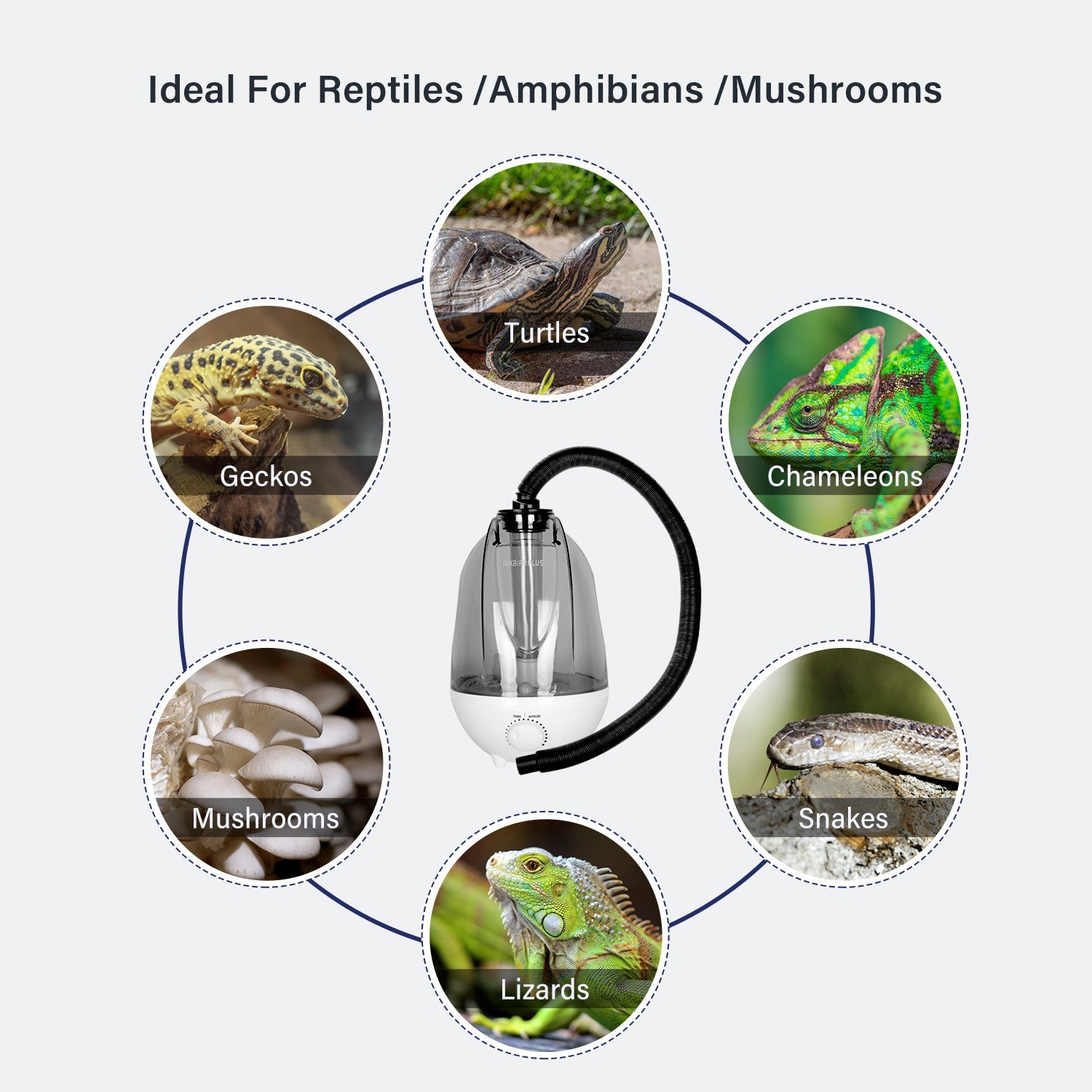 4 Liter Reptile Humidifier - INKBIRD