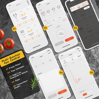 Bluetooth BBQ Thermometer IBT - 2X - INKBIRD