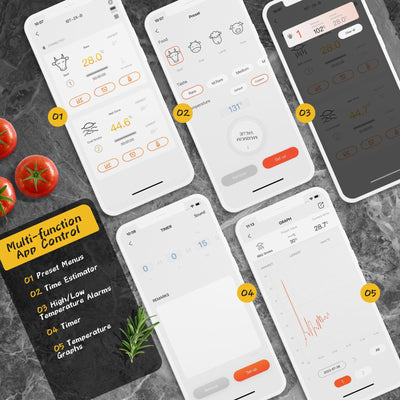 Bluetooth BBQ Thermometer IBT - 2X - INKBIRD