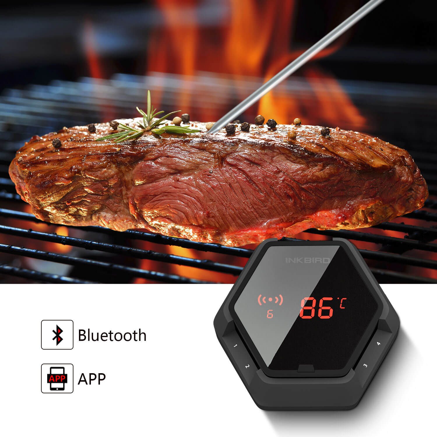 Bluetooth BBQ Thermometer IBT - 6XS - INKBIRD