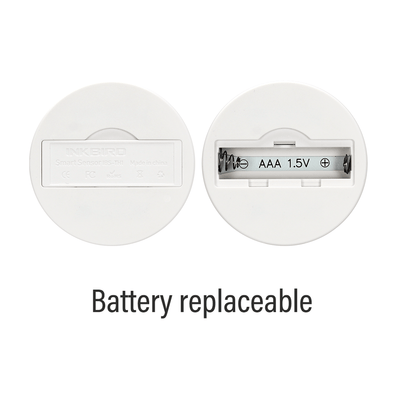 Bluetooth Hygrometer Thermometer IBS - TH1 - INKBIRD