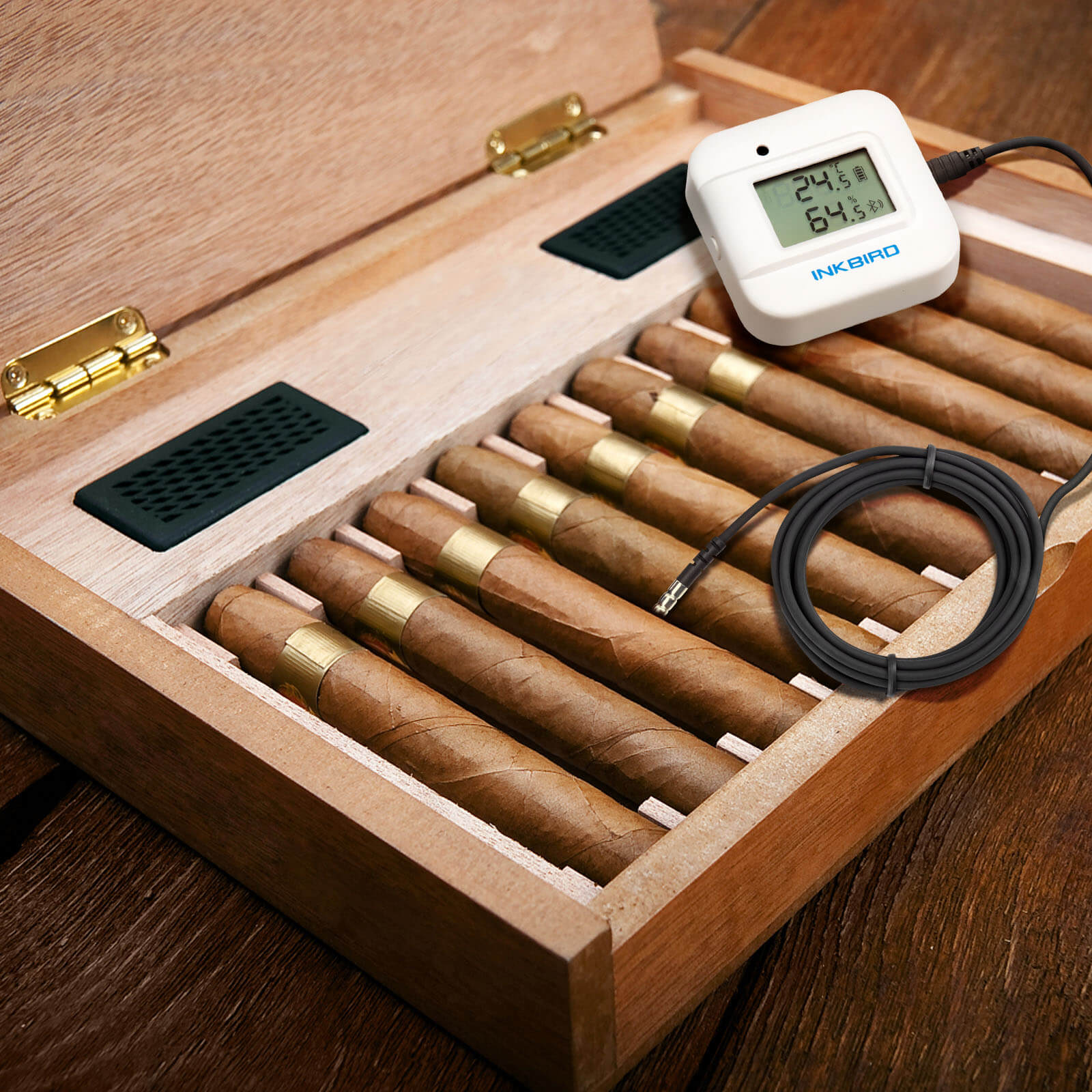 Bluetooth Hygrometer Thermometer IBS - TH2 Plus - INKBIRD