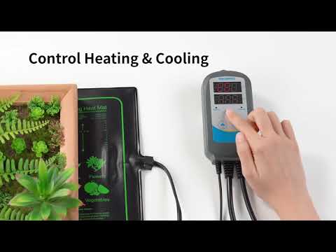 Temperature Controller ITC-310T-B