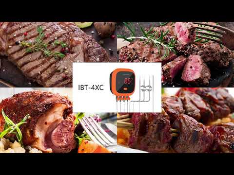 IBT-4XC Waterproof Wireless Grill Thermometer
