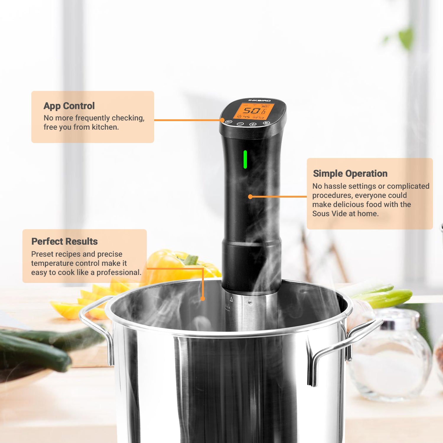 WiFi Sous Vide Cooker ISV - 200W - INKBIRD